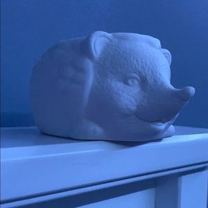 Mini Hedgehog Planter